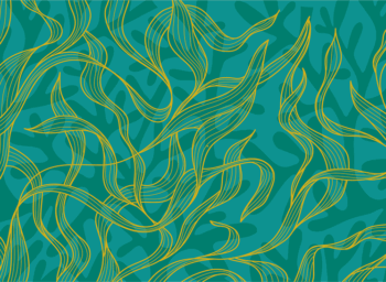 National Seafood Month: Super Green Seafood for People and Planet