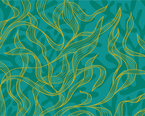 National Seafood Month: Super Green Seafood for People and Planet