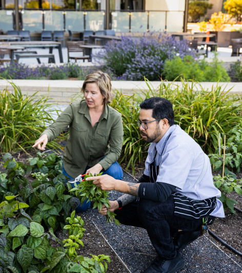 pinched fingers illustration