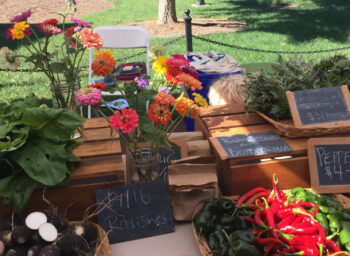 food and dining crop – 1