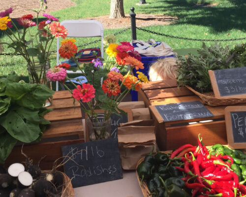 food and dining crop – 1