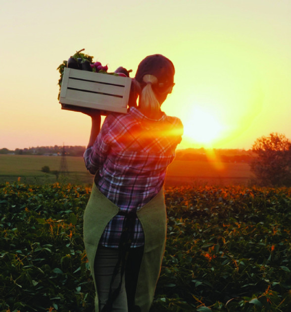 A woman in a ball cap holds a box of produce on her shoulder while looking at the sunset.