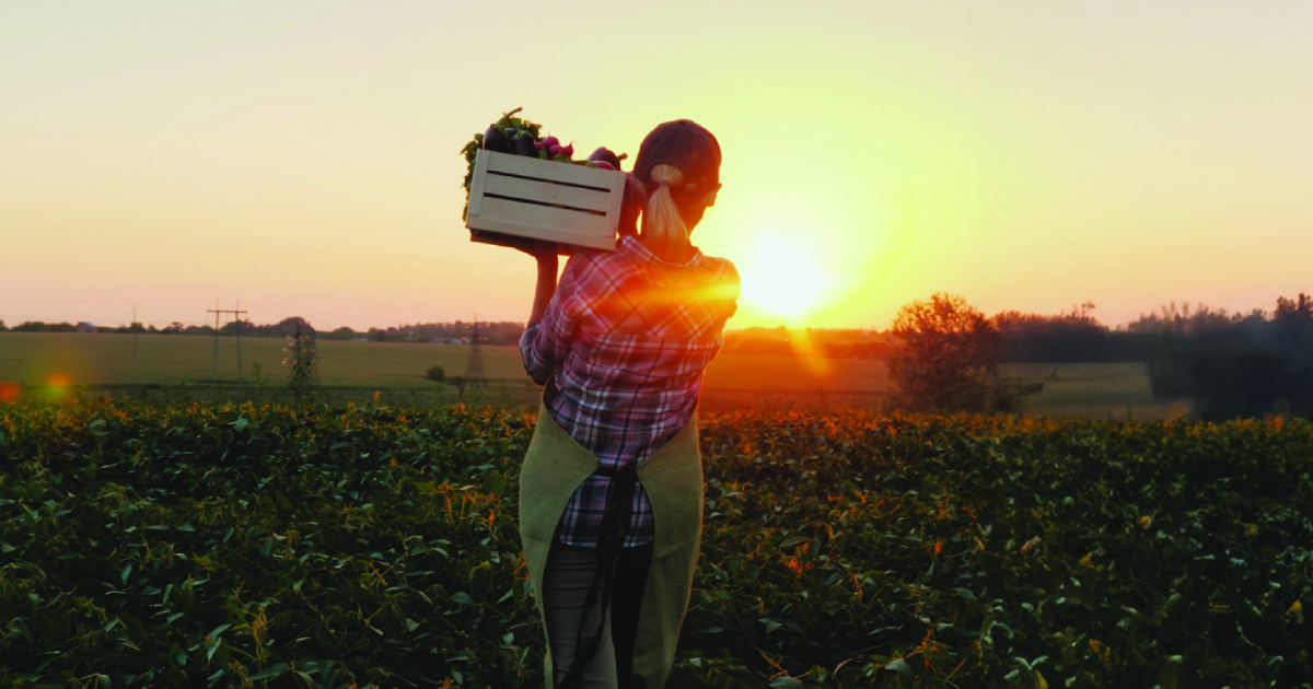 A woman in a ball cap holds a box of produce on her shoulder while looking at the sunset.