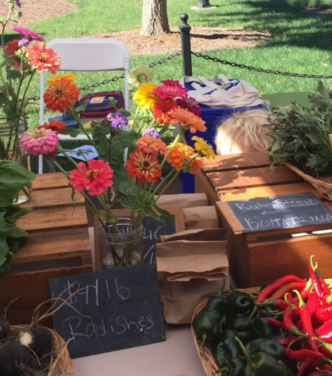 pinched fingers illustration