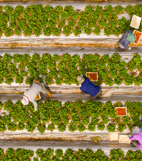 pinched fingers illustration