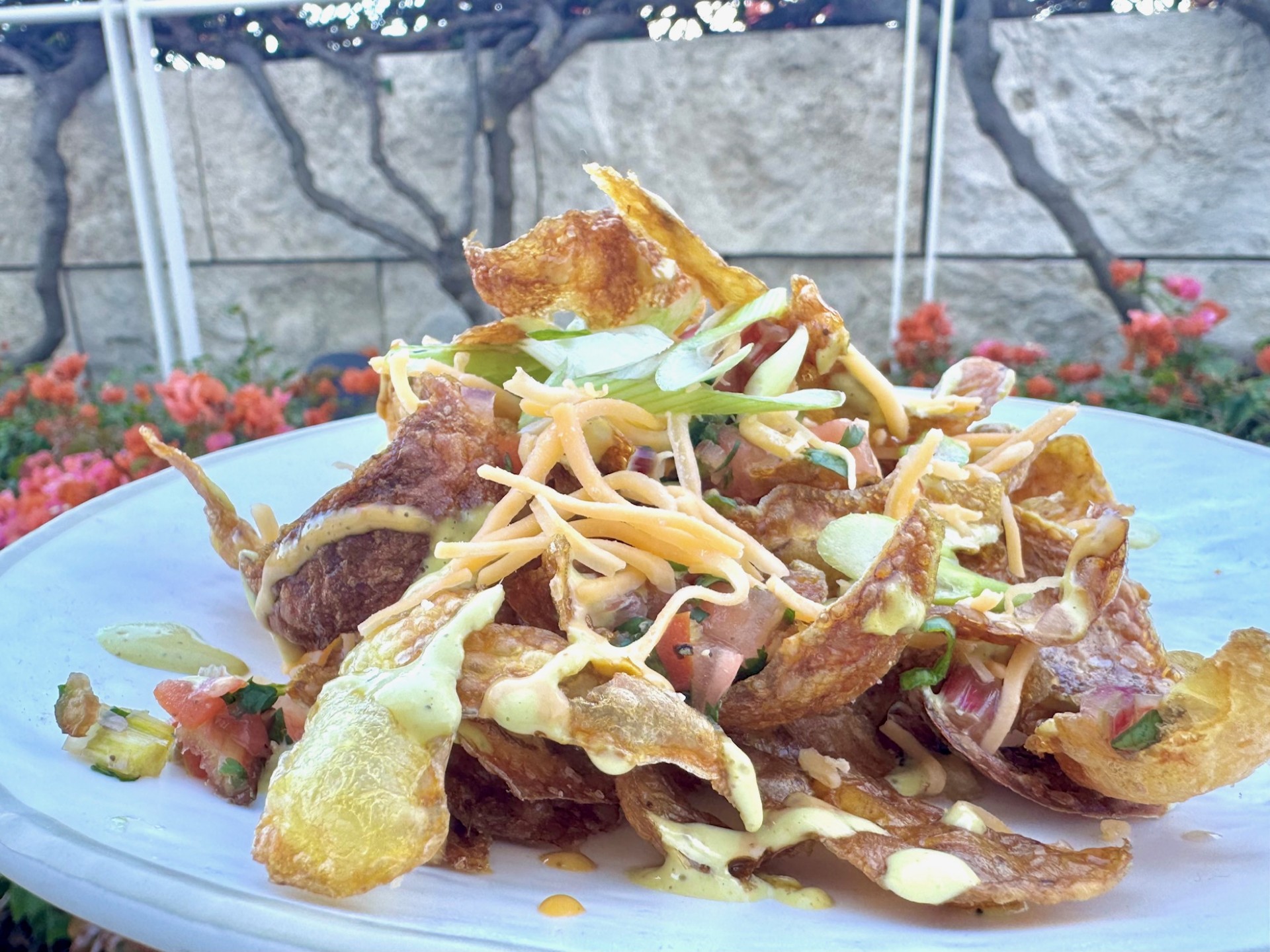 A finished dish of potato skin nachos
