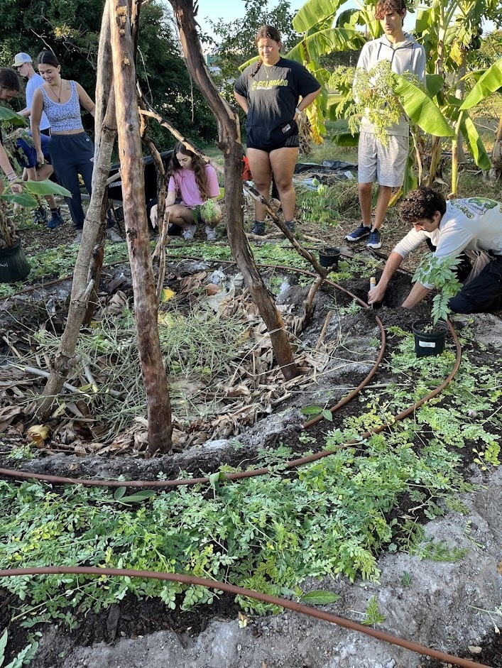 A group of students at Eckerd College in Florida build 