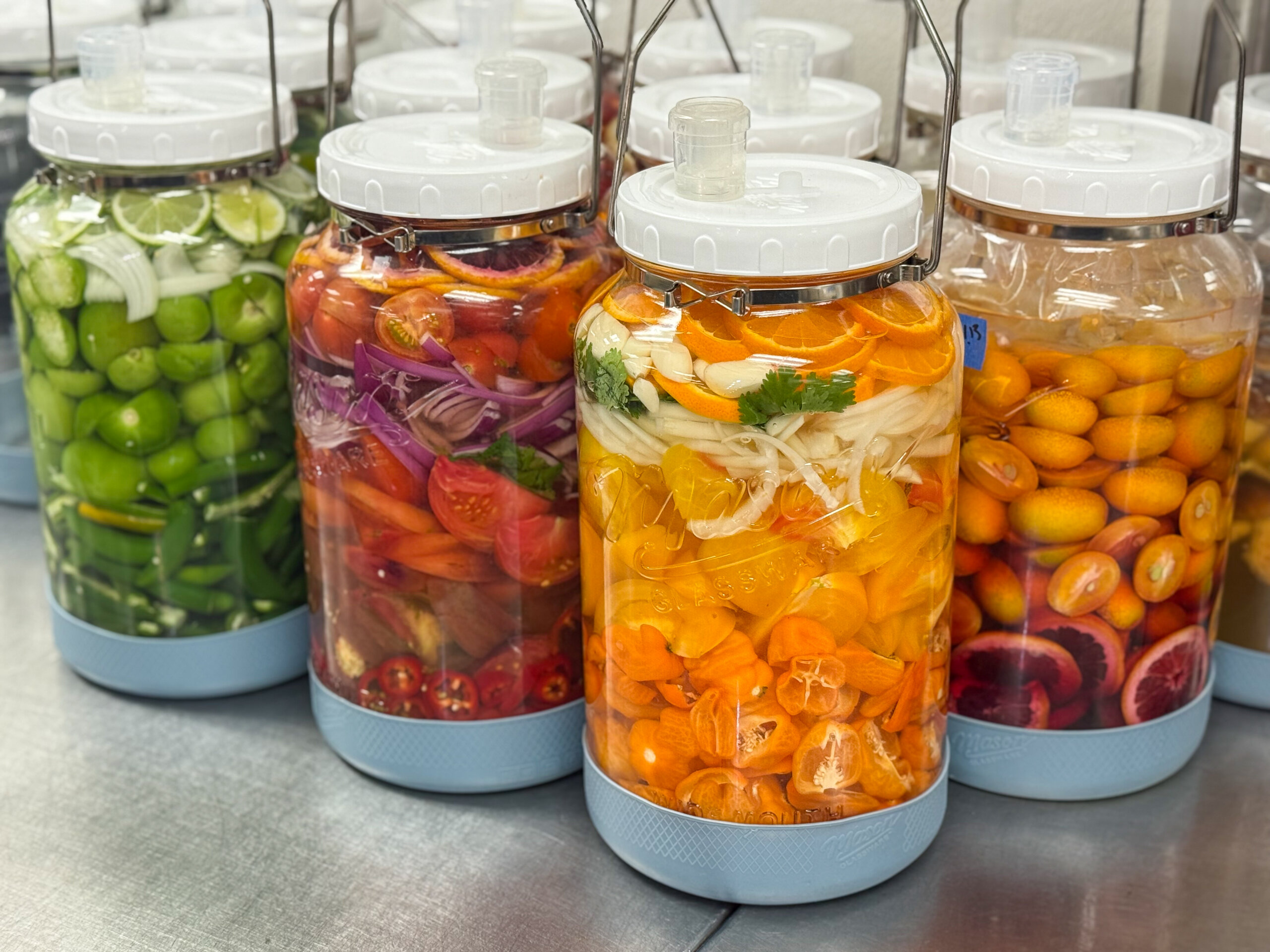 A lineup of colorful ferments