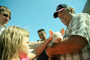 (Courtesy of Vera Chang, Bon Appétit Management Company Foundation West Coast Fellow): Pure Country Pork farmer Paul Klingerman holds a piglet for a visiting Bon Appétit team to admire. Hi-res version