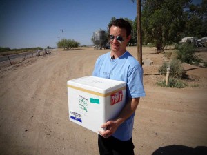 elfc_bamco_chrislenza_small