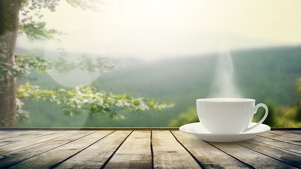 A cup of herbal tea with a view