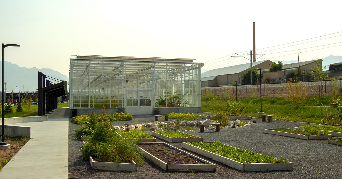 Planters outside of the Overstock.com greenhouse