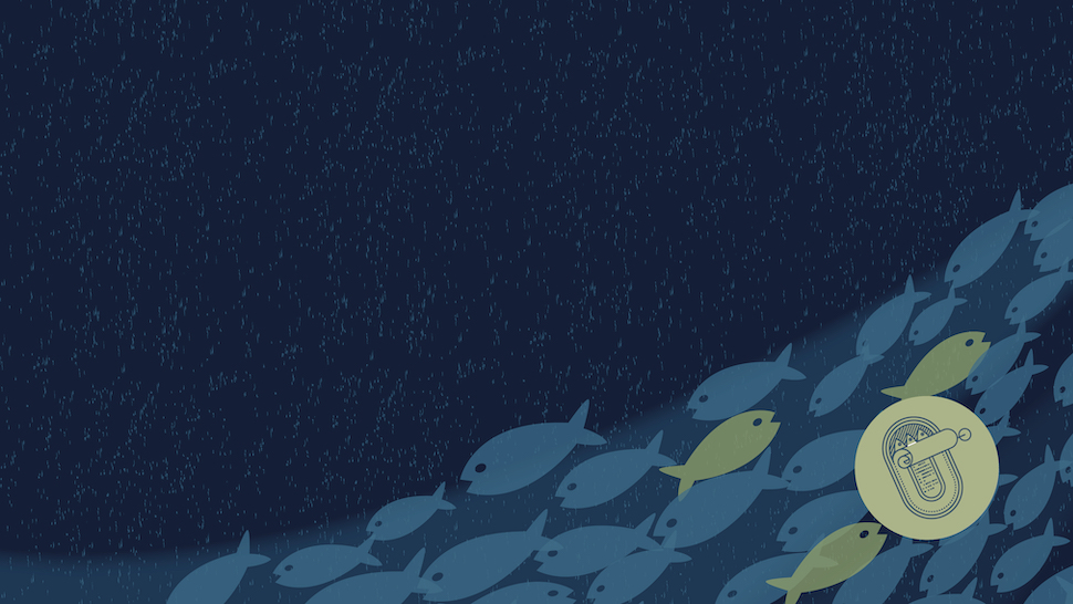 A dark blue background with swimming fish and small can of anchovies