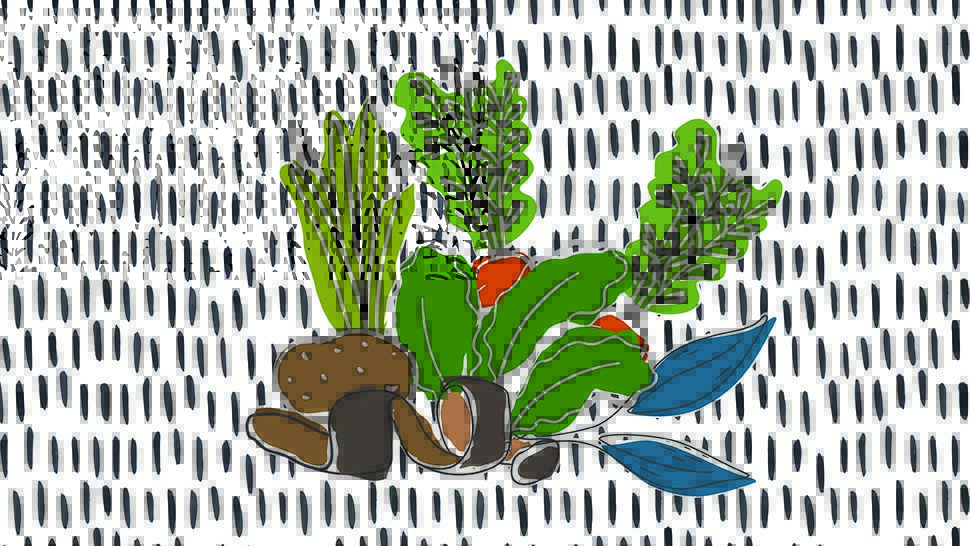 A bevy of produce against a white backdrop with black dashes