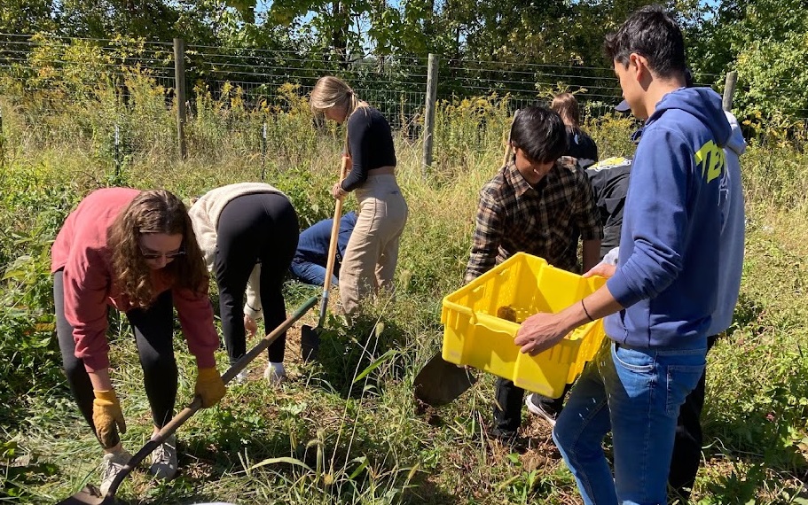 A groups of people do tasks in a field