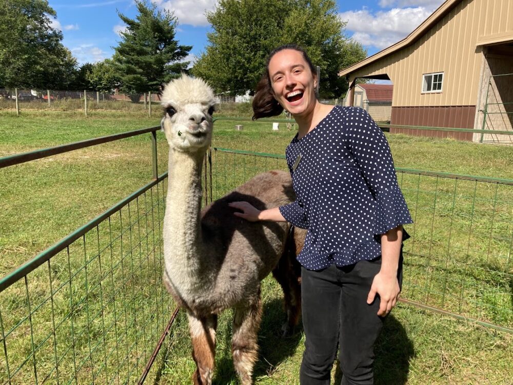 A young woman and an alpaca goat on a farm