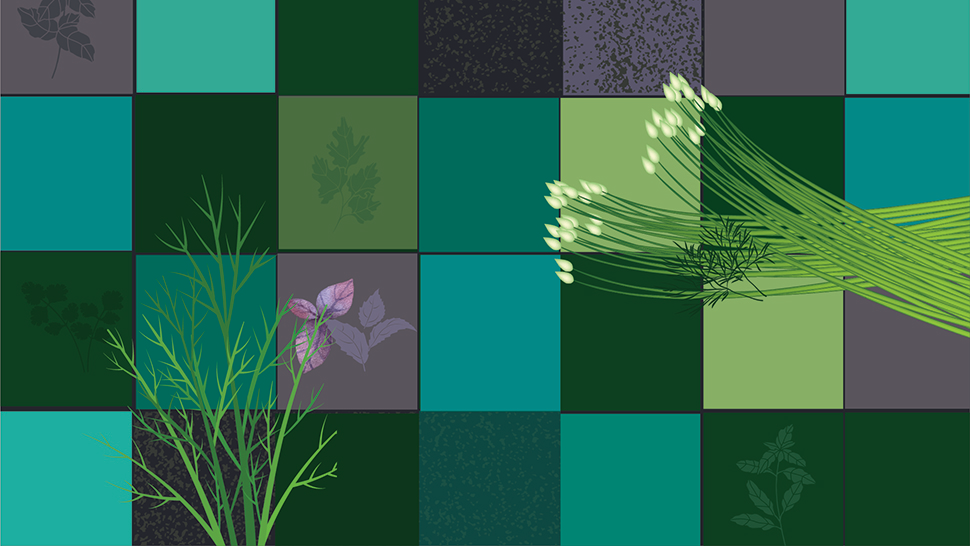 Blue-green decorative grid patern with illustrations of herbs overlaid